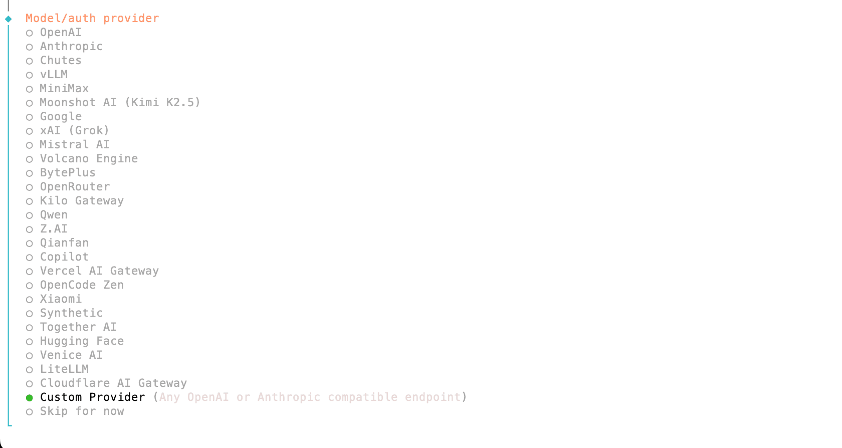 这里选择模型，我们选择自定义Custom Provider